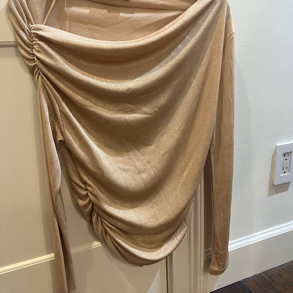 Zara Shimmering Gold Top